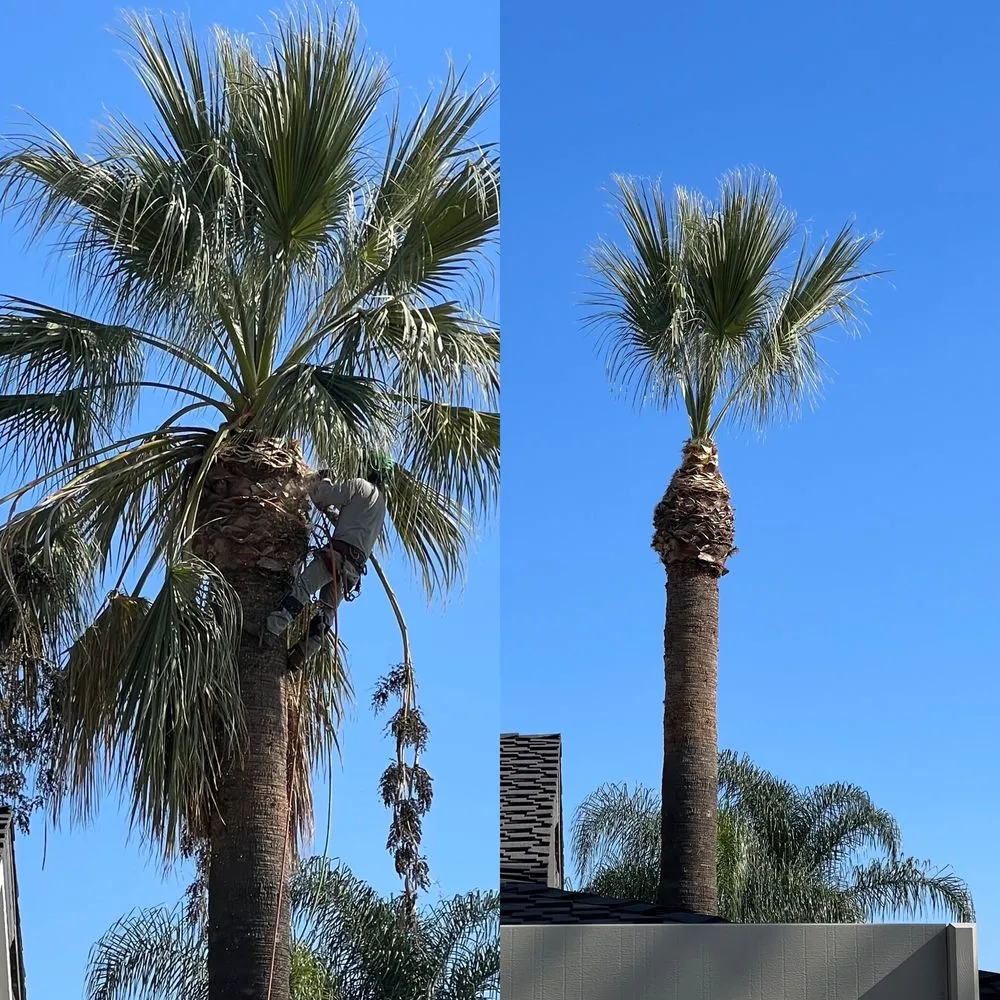 Reliable yard cleanup service for outdoor upgrades in Ontario, CA by Brother's Landscaping Services