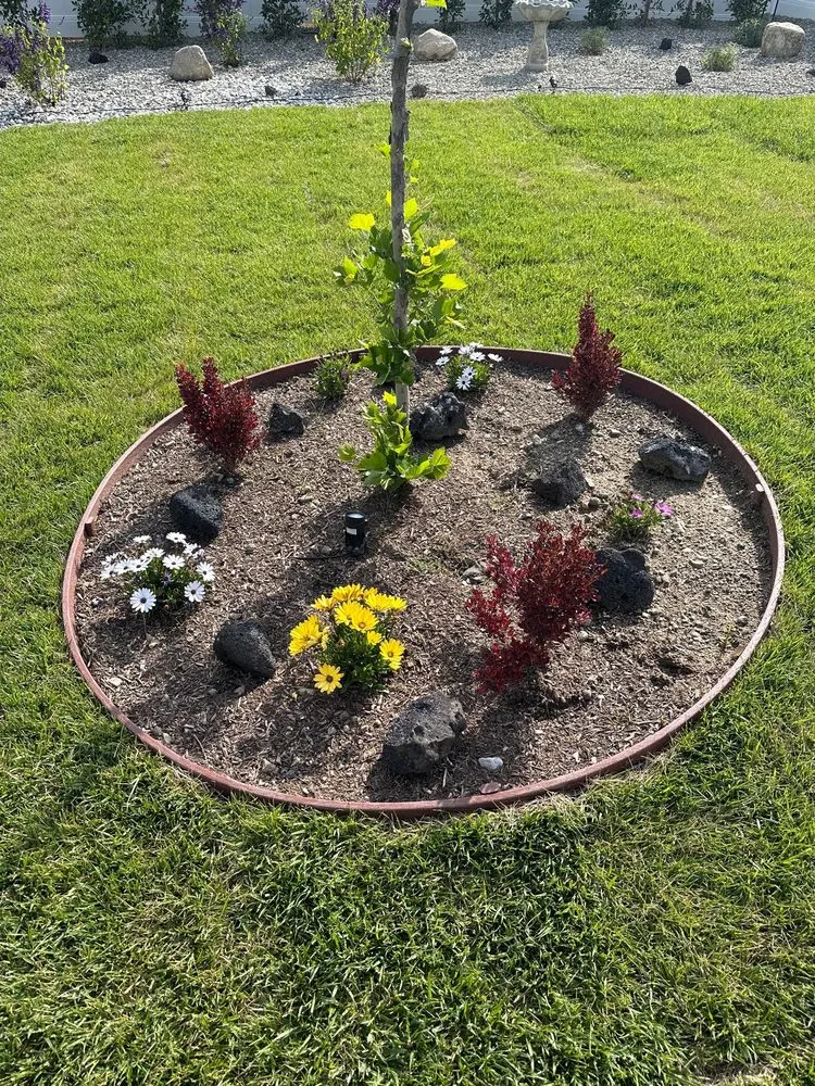 Top-rated lawn care service in Ontario, CA - Brother's Landscaping Services