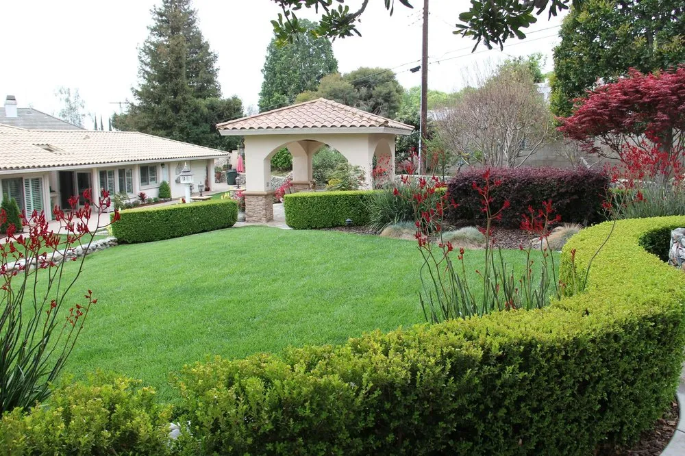 Reliable yard maintenance in Ontario, CA by Brother's Landscaping Services