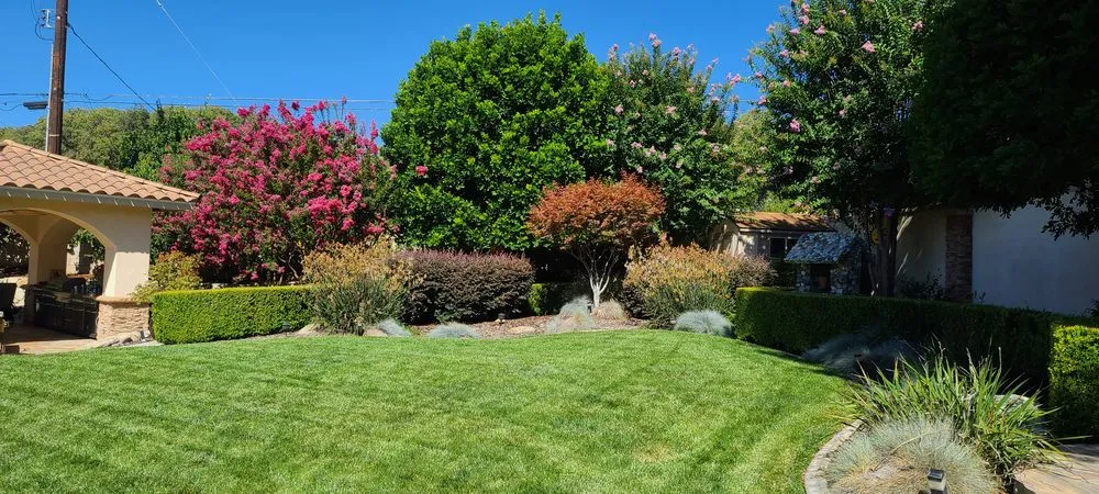Affordable landscaping services experts serving Ontario, CA - Brother's Landscaping Services
