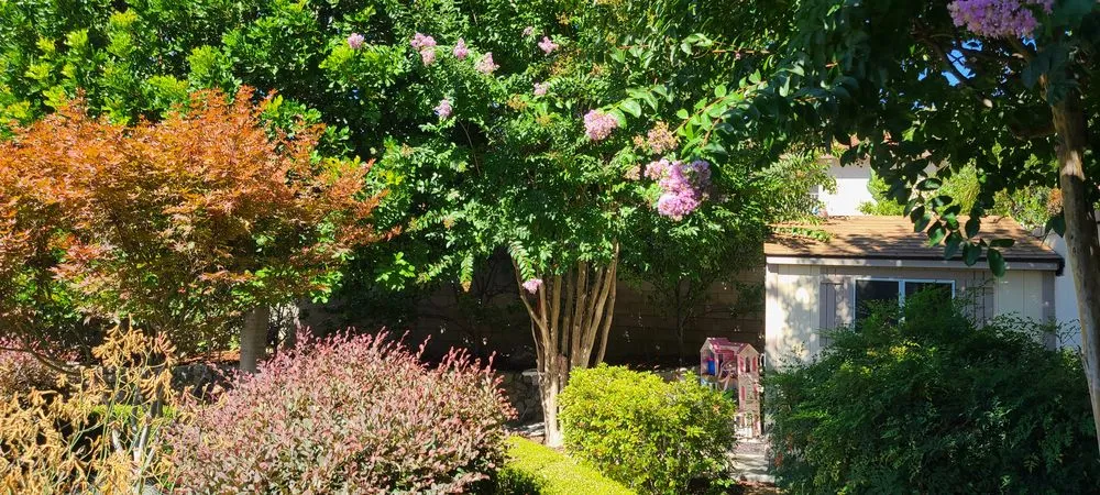 Affordable landscape design in Ontario, CA - Brother's Landscaping Services