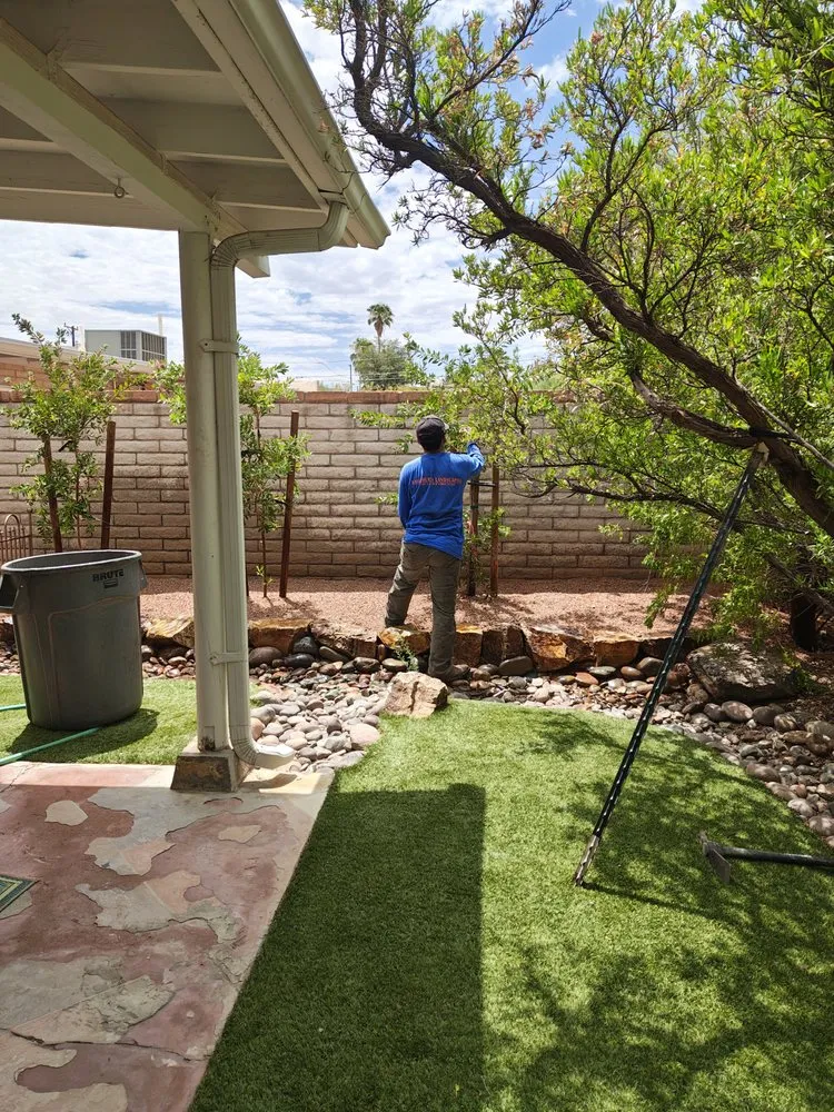 Local landscape design experts serving Tucson, AZ - Brothers Landscaping