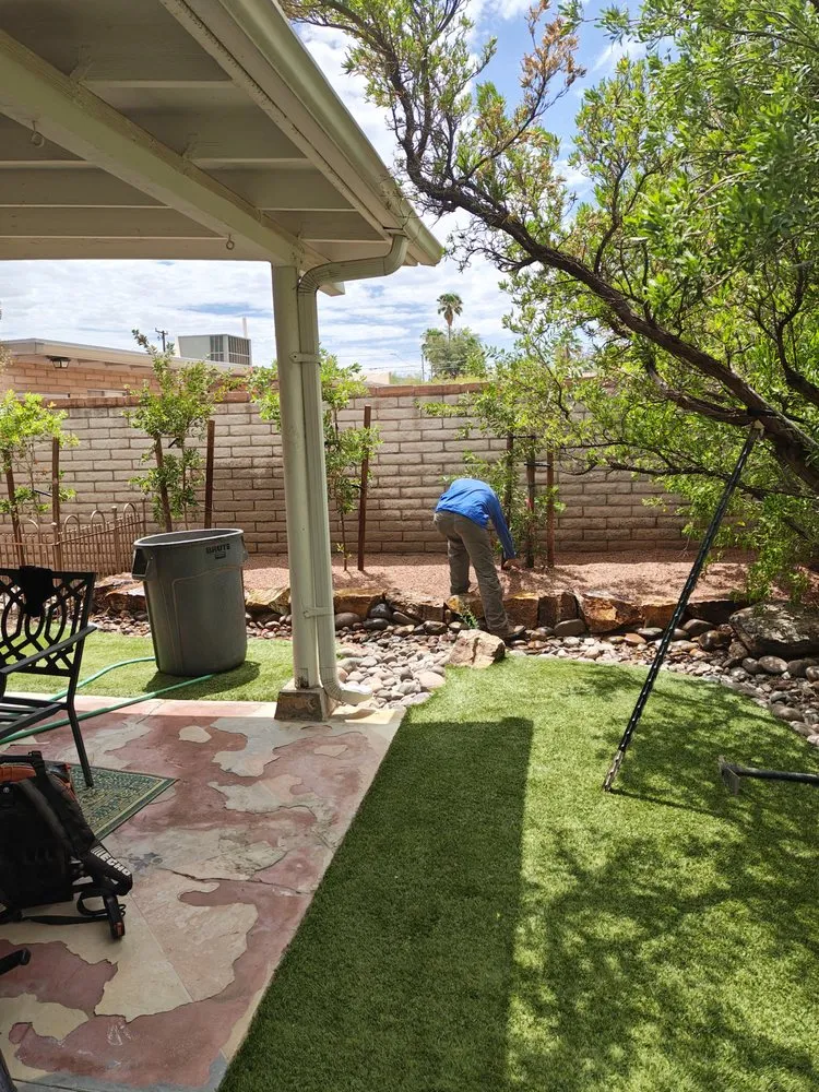 Top-rated yard maintenance in Tucson, AZ by Brothers Landscaping