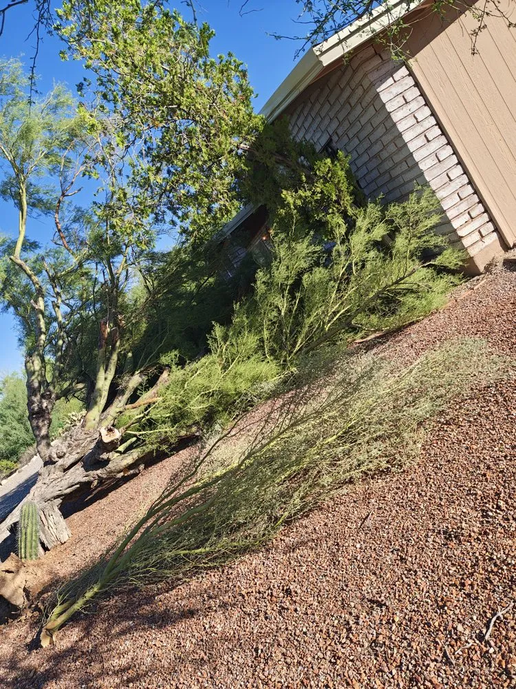 Affordable garden landscaping experts serving Tucson, AZ - Brothers Landscaping