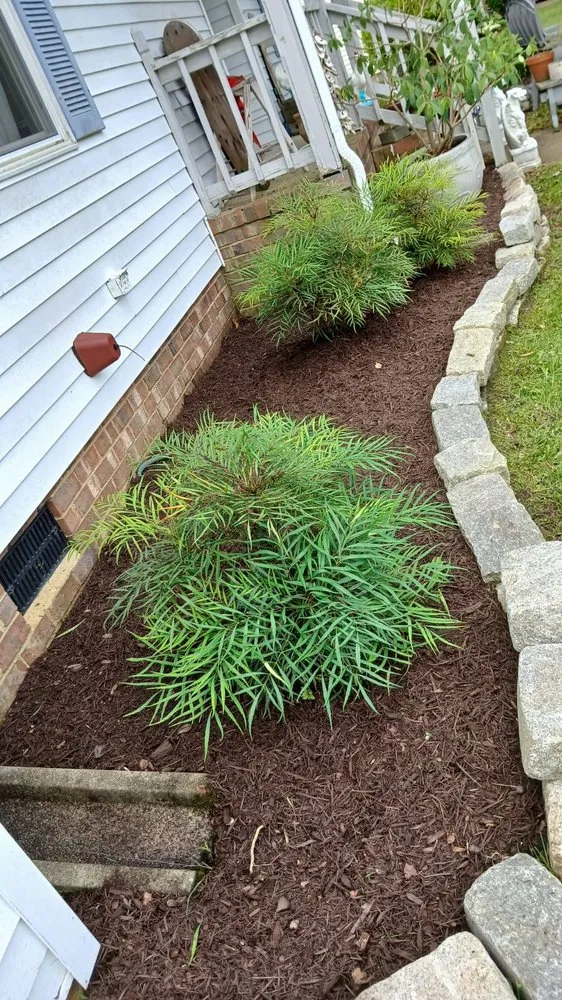 Trusted residential landscaping for year-round maintenance in Virginia Beach, VA by Brothers Landscaping