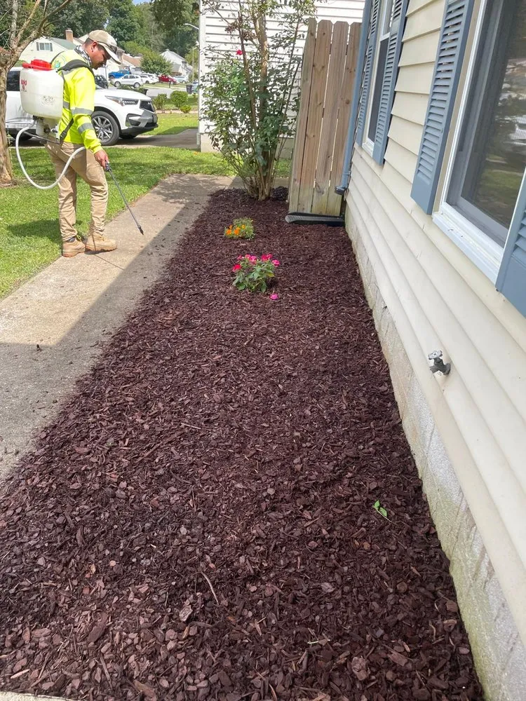 Top-rated yard cleanup service experts serving Virginia Beach, VA - Brothers Landscaping