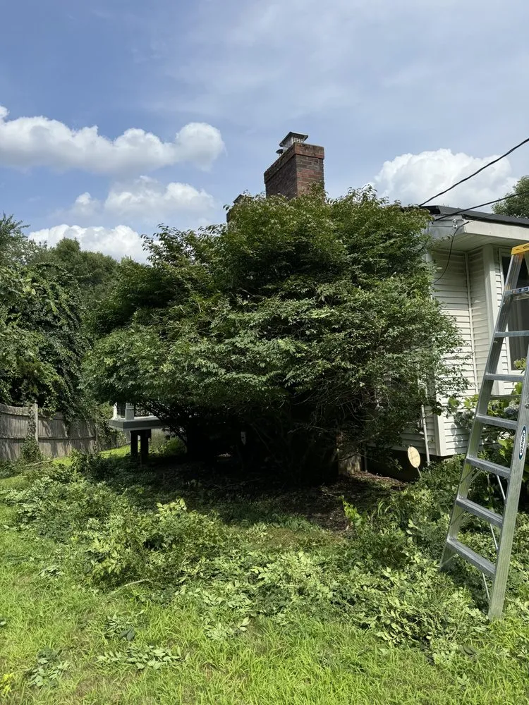 Custom landscaping services for year-round maintenance across Waltham, MA - Brothers Landscaping