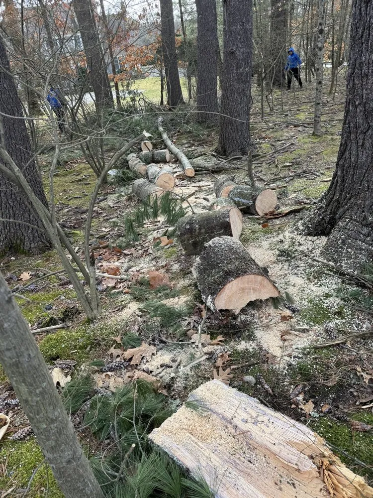 Top-rated garden landscaping experts serving Waltham, MA - Brothers Landscaping