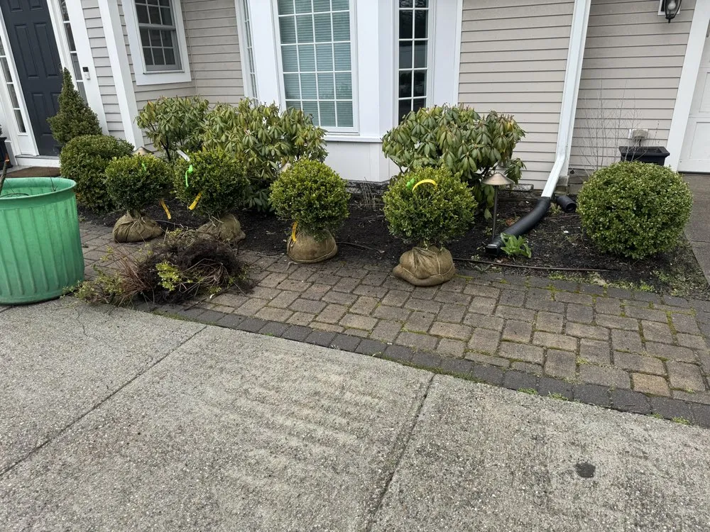 Top-rated outdoor landscaping in Waltham, MA by Brothers Landscaping