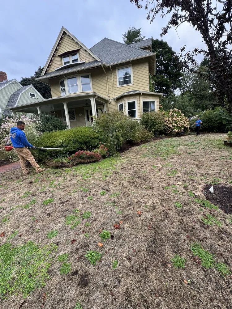 Professional lawn mowing service in Waltham, MA by Brothers Landscaping