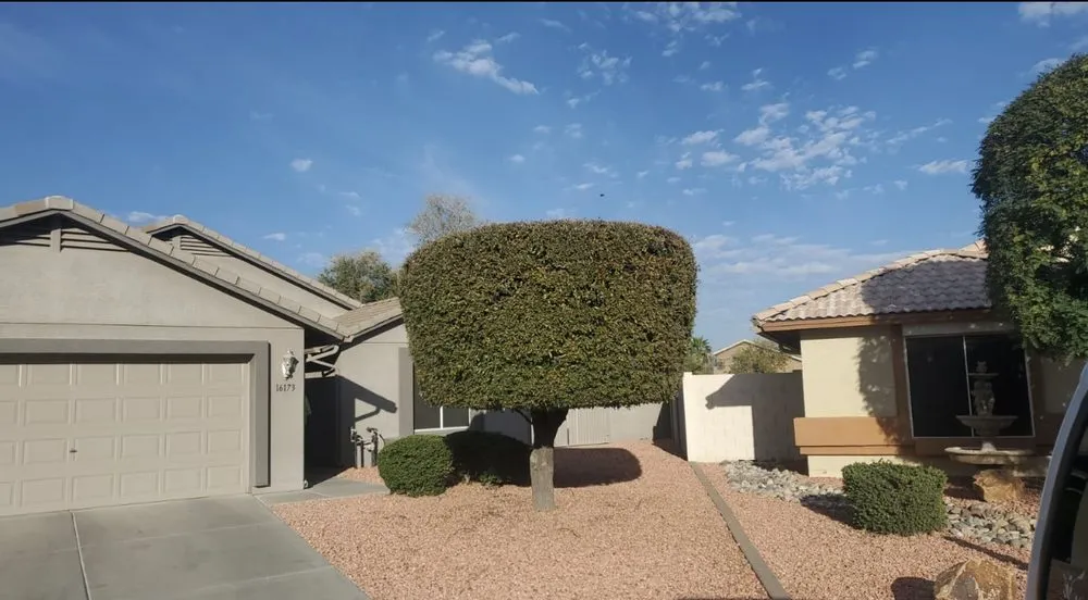 Top-rated lawn mowing service in El Mirage, AZ - Brothers Lanscape