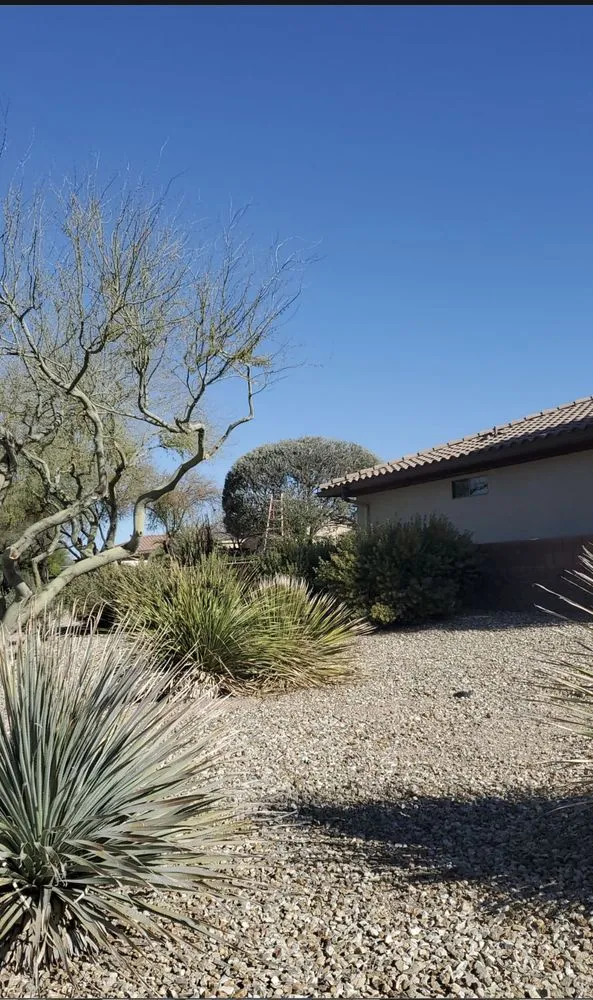 Top-rated yard maintenance near you across El Mirage, AZ - Brothers Lanscape