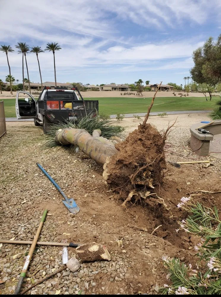 Top-rated outdoor landscaping for homes in El Mirage, AZ by Brothers Lanscape