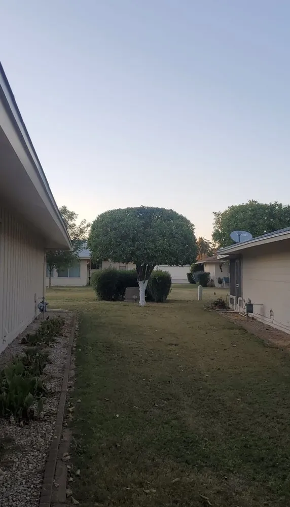 Expert lawn mowing service in El Mirage, AZ - Brothers Lanscape