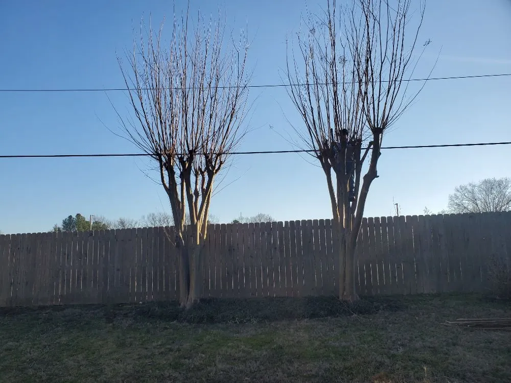 Professional lawn care service for homes across Collierville, TN - Brothers Lawn & Landscape