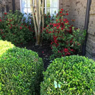 Professional lawn care service for year-round maintenance in Collierville, TN by Brothers Lawn & Landscape