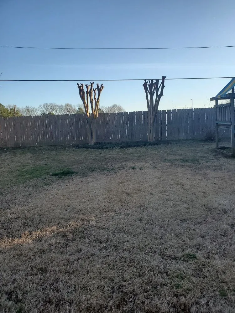 Local landscape design with custom design across Collierville, TN - Brothers Lawn & Landscape