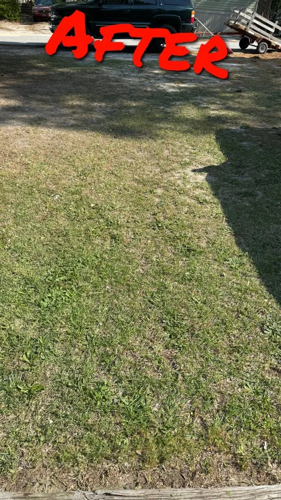 Professional lawn mowing service for homes across Gaston, SC - Brothers Lawn and Care