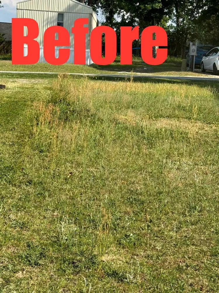 Trusted outdoor landscaping for residential properties in Gaston, SC by Brothers Lawn and Care