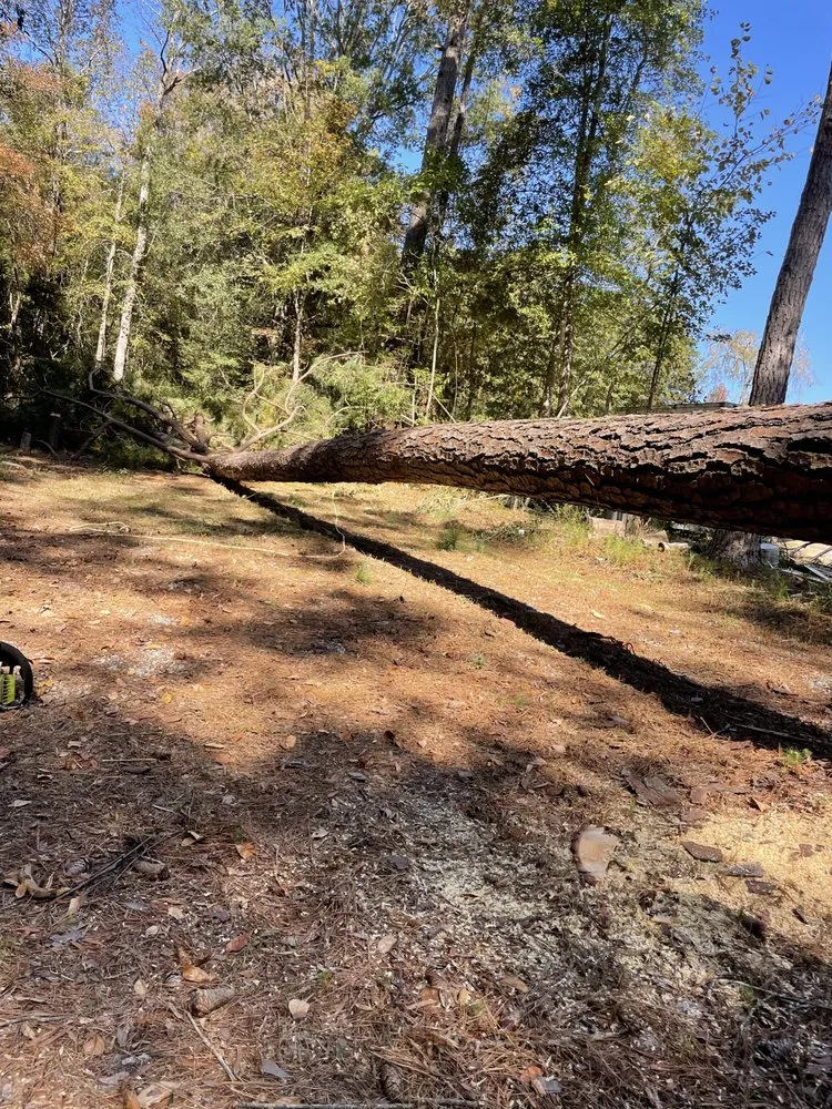 Expert yard maintenance experts serving Gaston, SC - Brothers Lawn and Care