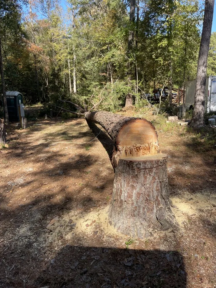 Expert garden landscaping in Gaston, SC by Brothers Lawn and Care