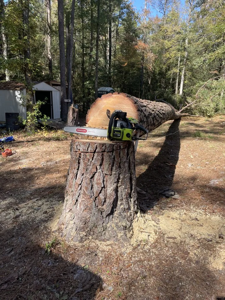 Custom landscape design for residential properties in Gaston, SC by Brothers Lawn and Care