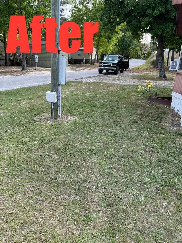 Professional yard cleanup service with custom design in Gaston, SC by Brothers Lawn and Care