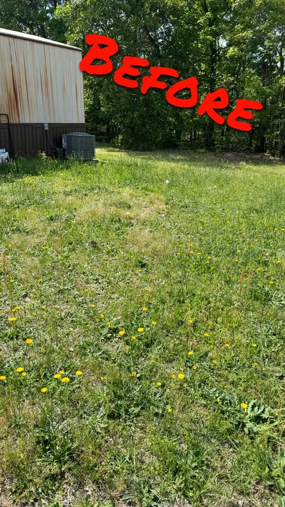 Professional garden landscaping in Gaston, SC - Brothers Lawn and Care