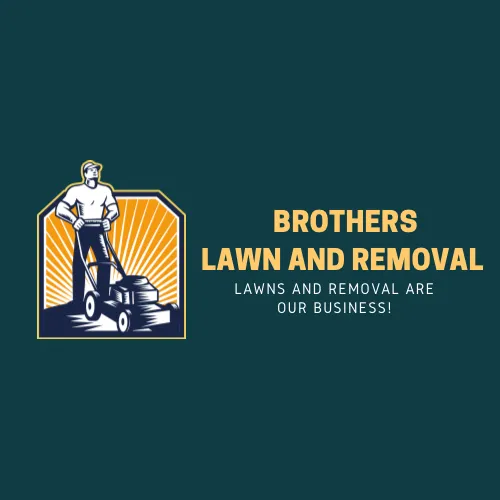 Trusted yard cleanup service with custom design in Boerne, TX by Brothers Lawn and Removal