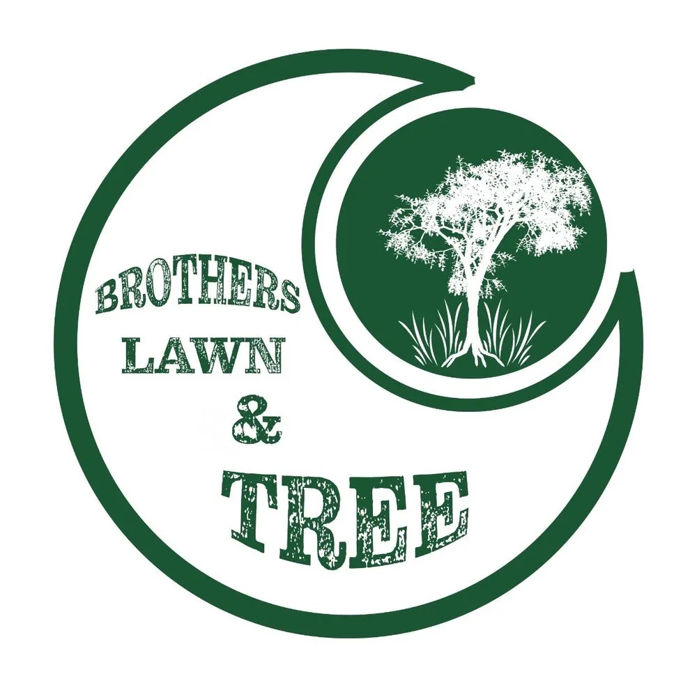 Affordable lawn care service for year-round maintenance across Cedar Creek, TX - Brothers Lawn And Tree
