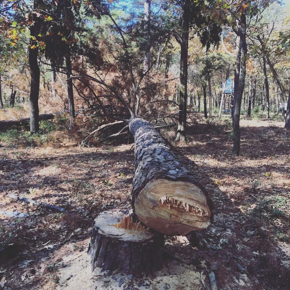 Trusted yard cleanup service for outdoor upgrades across Cedar Creek, TX - Brothers Lawn And Tree