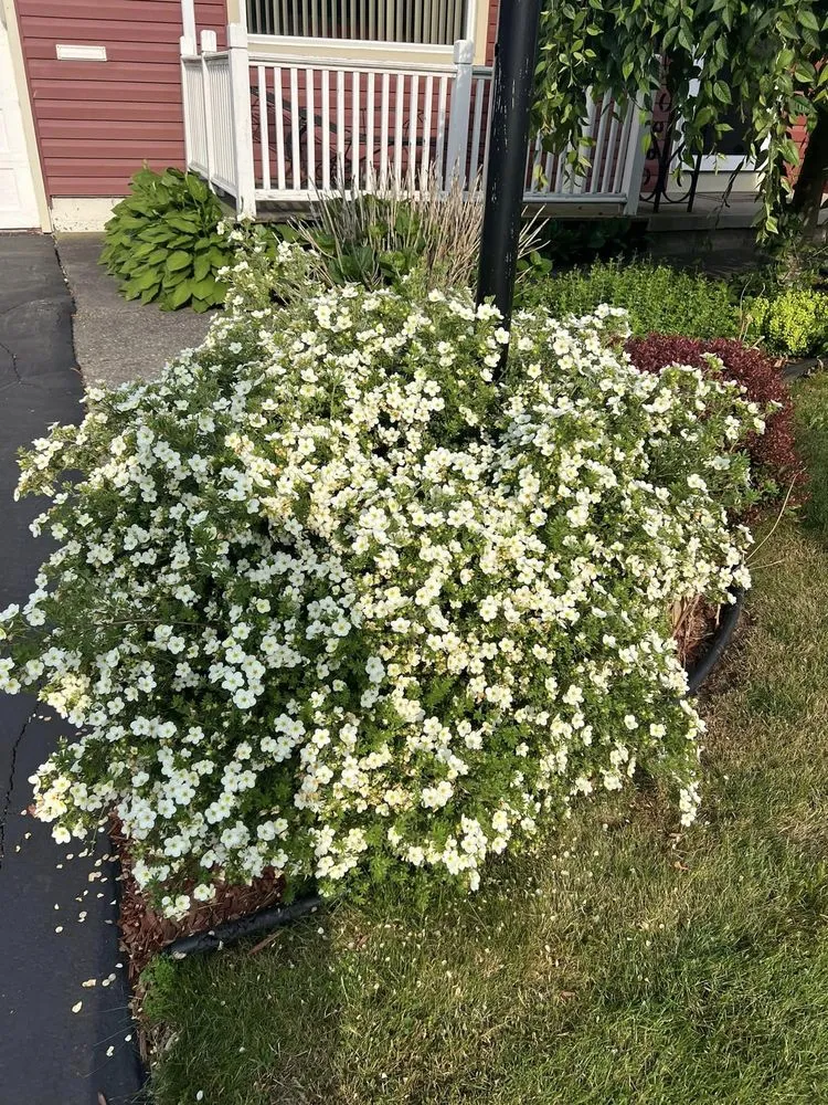 Trusted residential landscaping in Rochester, NY - Brother's Lawn Care & Landscaping