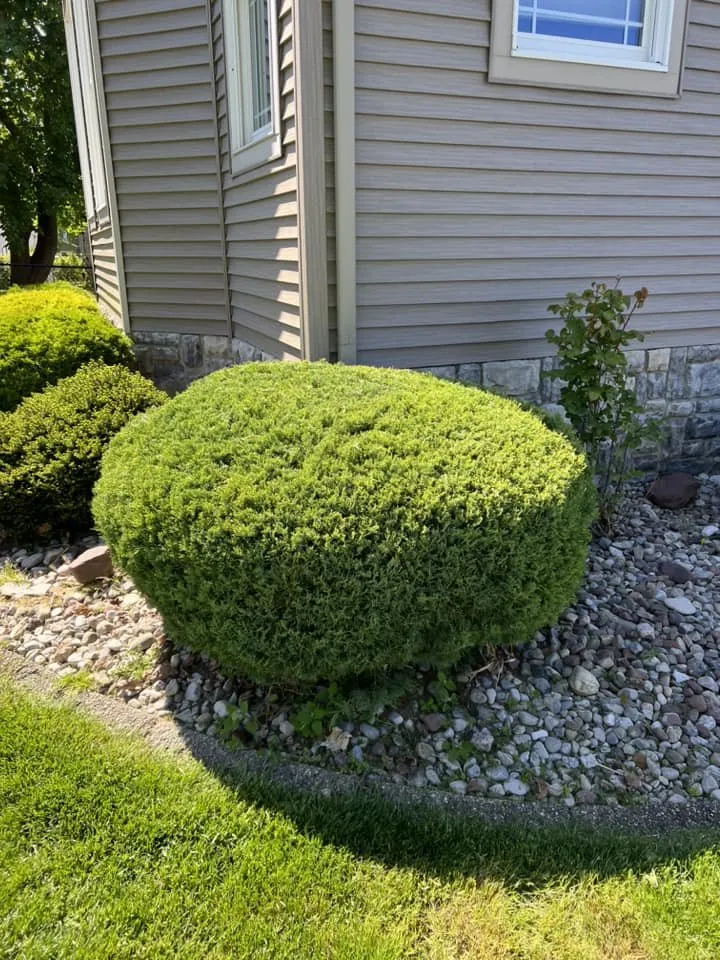 Top-rated residential landscaping in Rochester, NY - Brother's Lawn Care & Landscaping