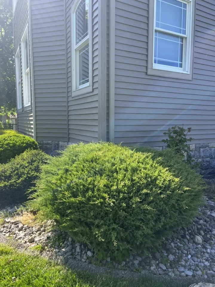 Expert landscaping services for beautiful yards across Rochester, NY - Brother's Lawn Care & Landscaping