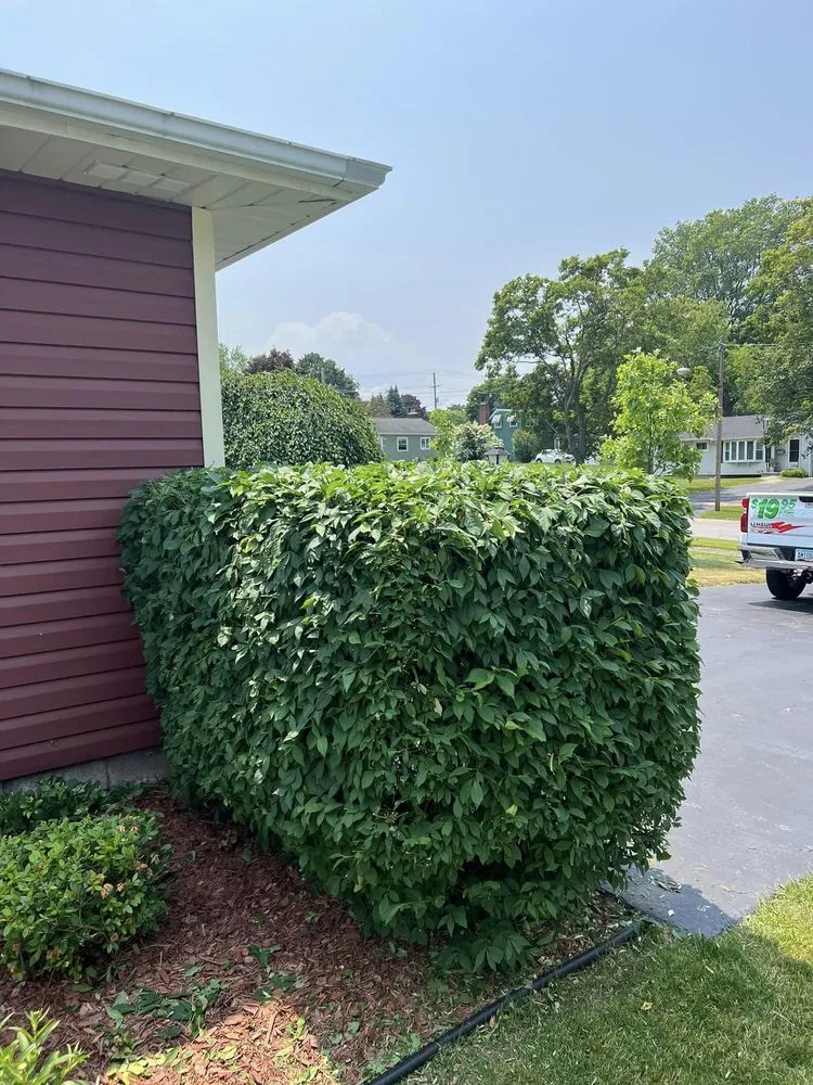 Trusted residential landscaping for year-round maintenance in Rochester, NY by Brothers Lawn Care & Landscaping.