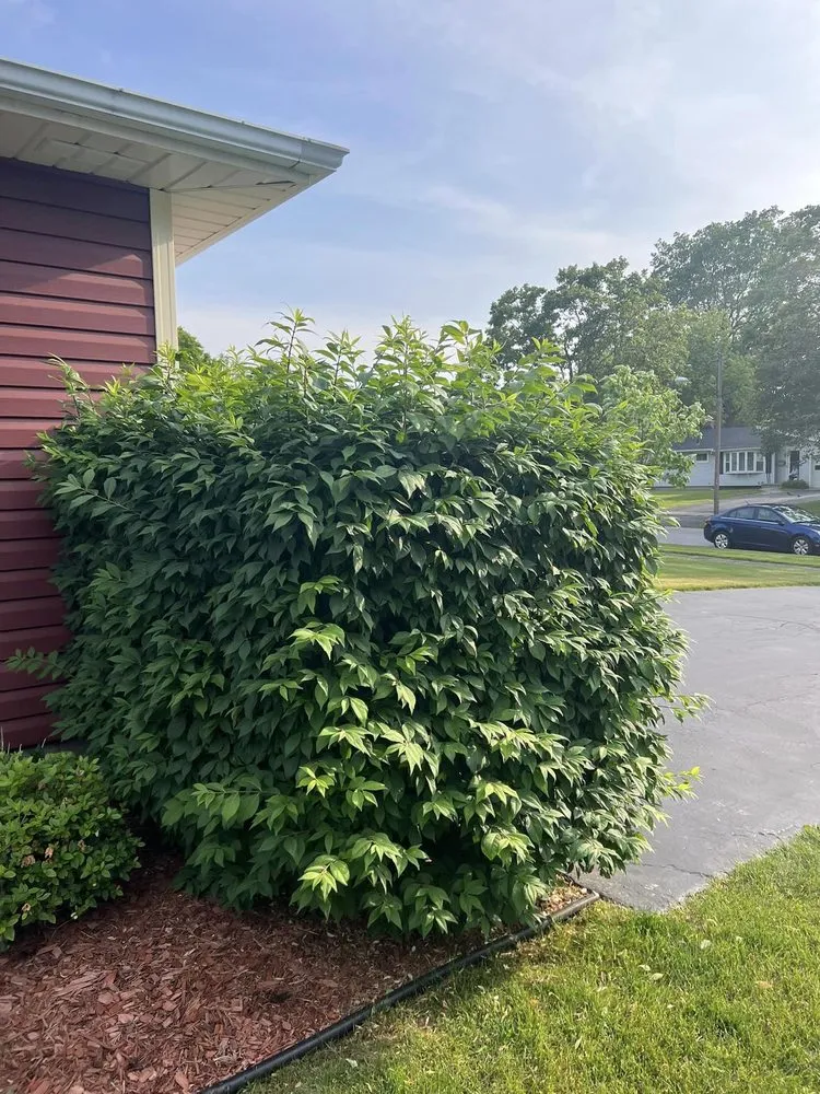 Trusted lawn mowing service for outdoor upgrades in Rochester, NY by Brothers Lawn Care & Landscaping.