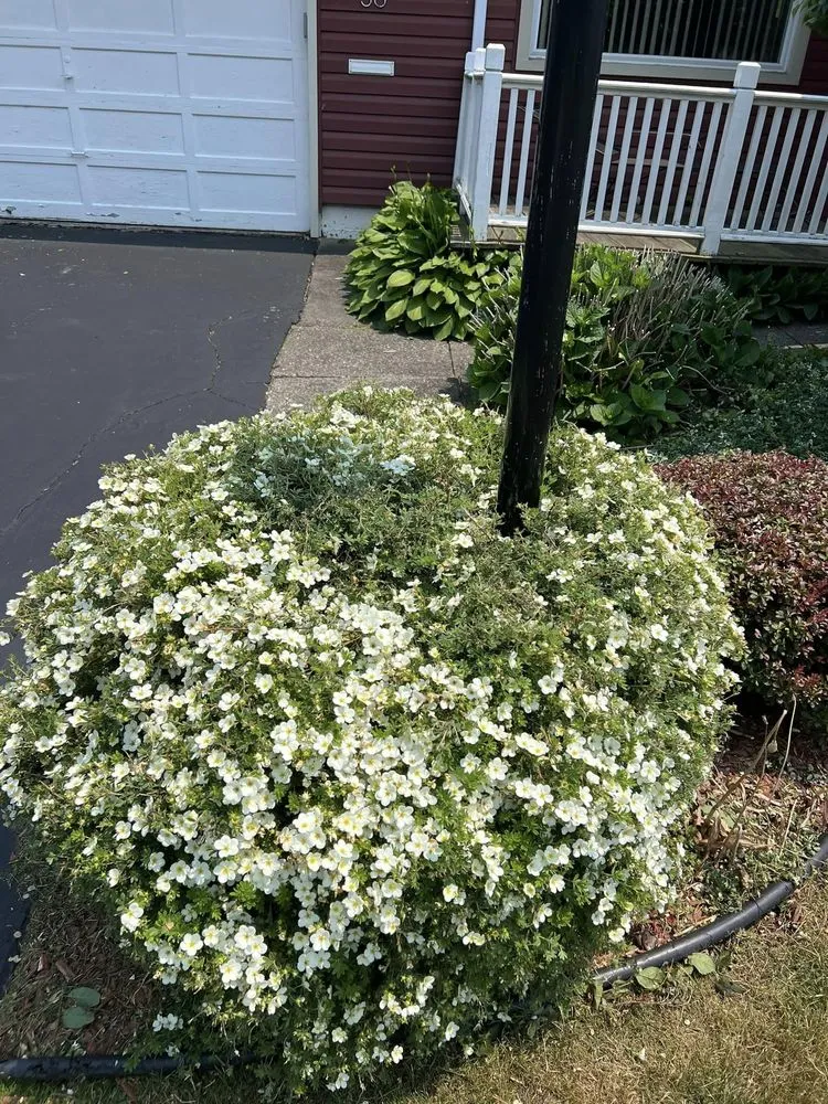 Affordable landscape design in Rochester, NY by Brothers Lawn Care & Landscaping.