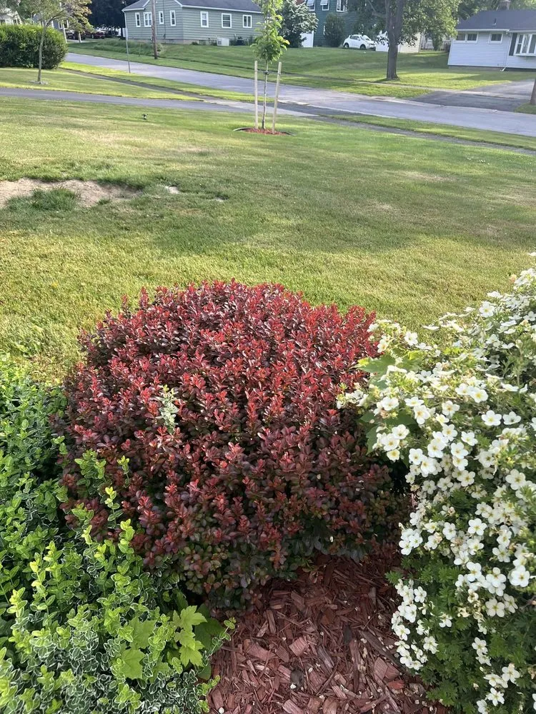 Affordable yard cleanup service in Rochester, NY by Brother's Lawn Care & Landscaping