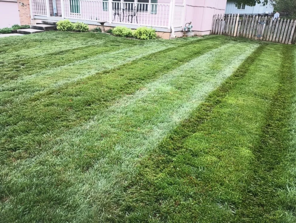 Local lawn mowing service in Windsor, MO by Brothers Lawn Care and Services