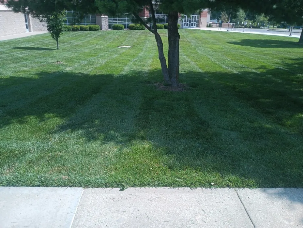 Professional yard maintenance experts serving Windsor, MO - Brothers Lawn Care and Services