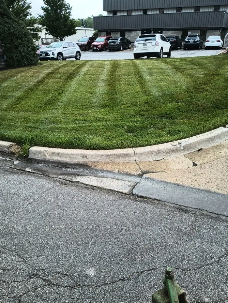 Reliable landscape design in Windsor, MO by Brothers Lawn Care and Services