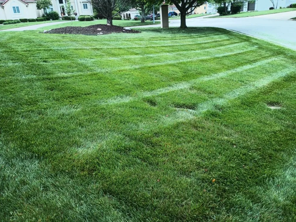 Top-rated yard maintenance in Windsor, MO - Brothers Lawn Care and Services