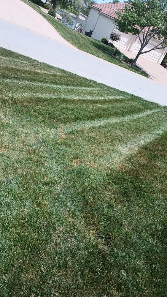 Expert yard cleanup service for outdoor upgrades in Windsor, MO by Brothers Lawn Care and Services