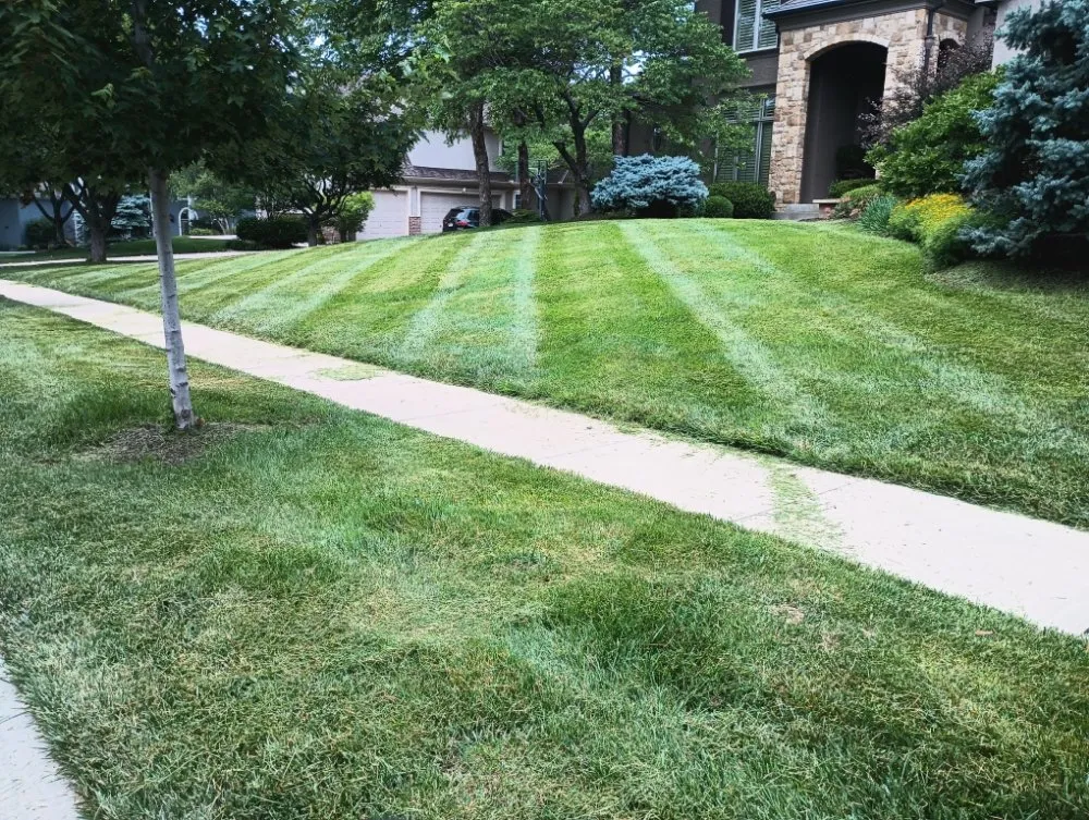 Trusted outdoor landscaping for outdoor upgrades across Windsor, MO - Brothers Lawn Care and Services