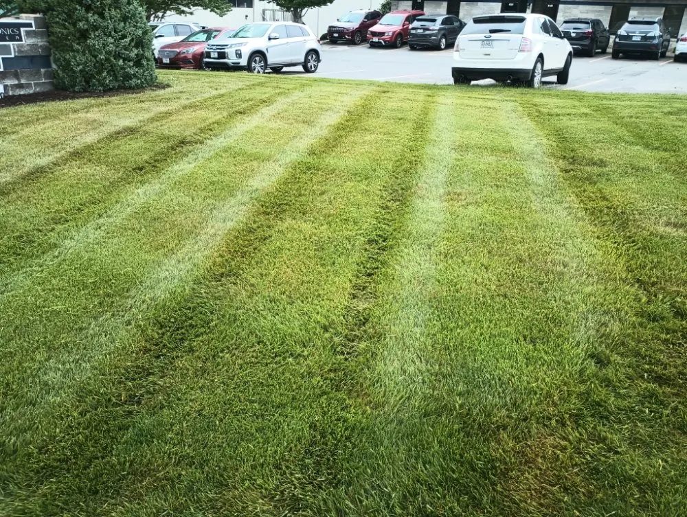 Reliable landscaping services for year-round maintenance in Windsor, MO by Brothers Lawn Care and Services
