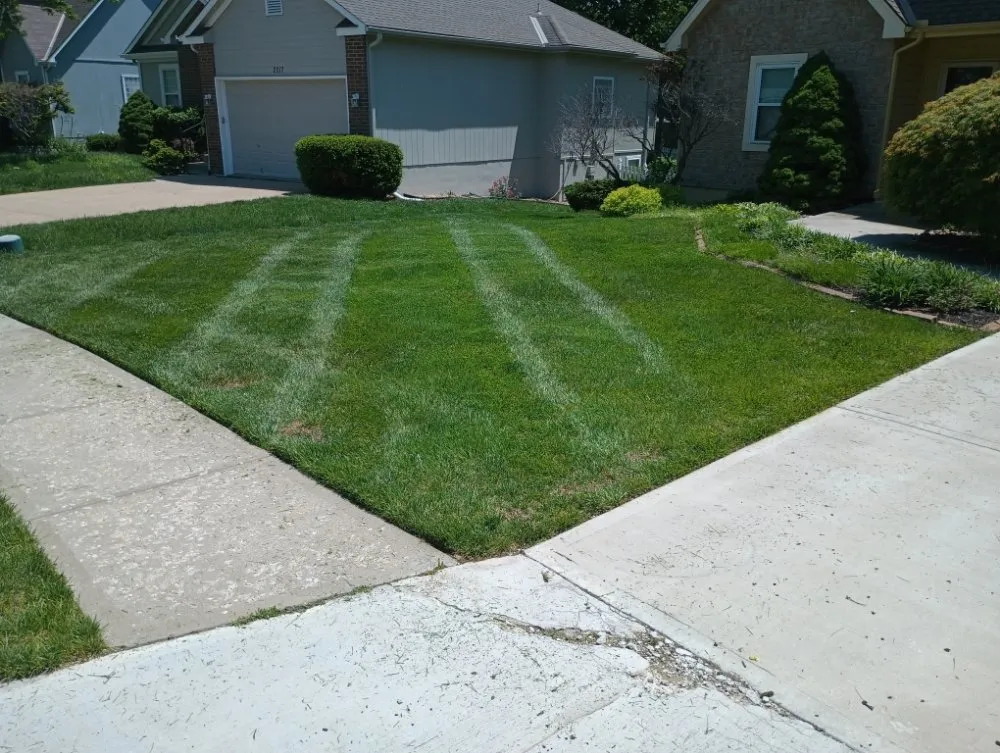 Trusted lawn mowing service in Windsor, MO - Brothers Lawn Care and Services