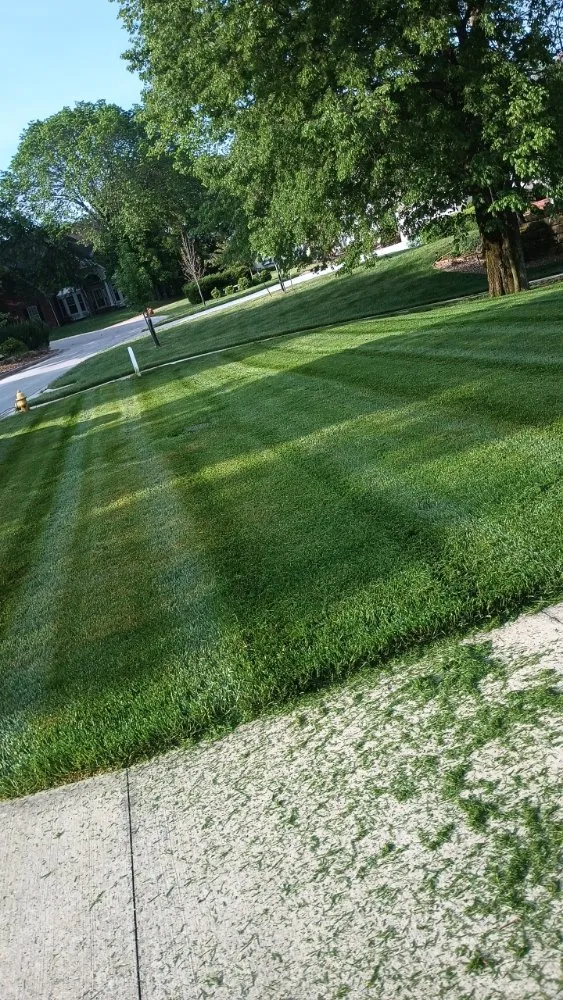 Trusted garden landscaping for year-round maintenance across Windsor, MO - Brothers Lawn Care and Services
