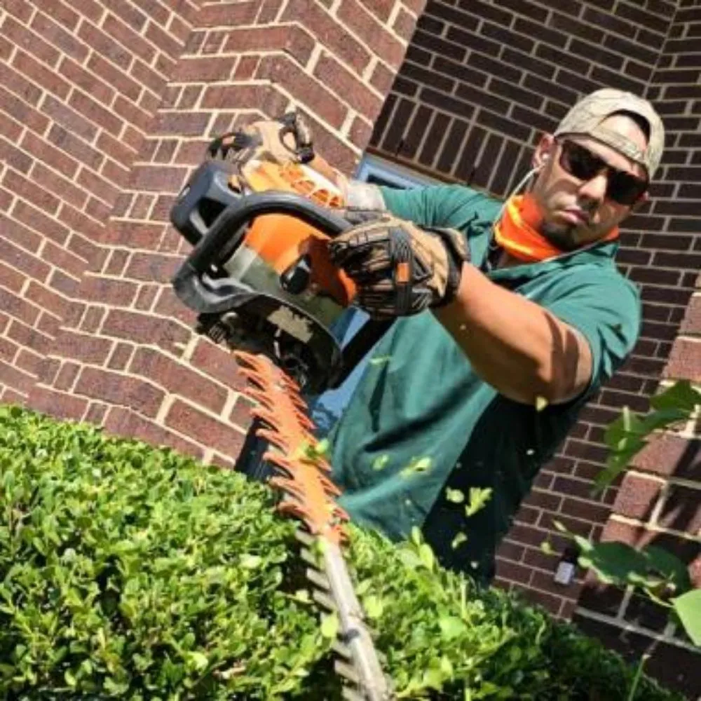 Custom lawn care service for beautiful yards in Arlington, TX by Brothers Lawn Care