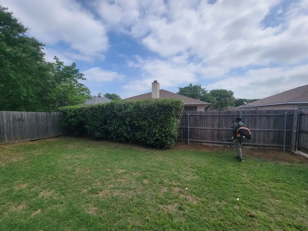 Trusted yard maintenance for year-round maintenance across Arlington, TX - Brothers Lawn Care