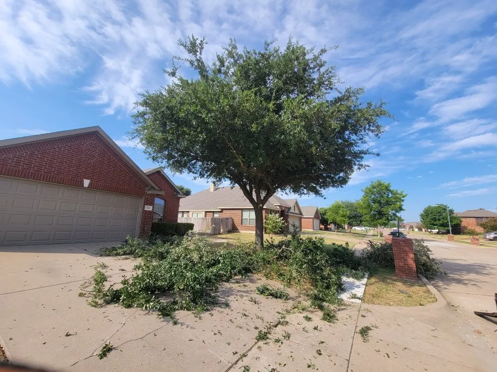 Custom lawn care service in Arlington, TX - Brothers Lawn Care